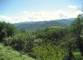 Inviting Holiday Home With Terrace, Garden Furniture, BBQ