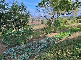 Cottage in Montelabbate With Pool, Garden, Bbq, Parking