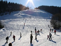 Large Apartment Near Ski Area in Winterberg Germany