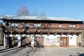 Detached Modern Holiday Home With Sauna in the Salzburgerland