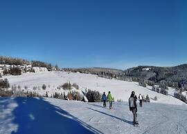 Modern Apartment in Neuastenberg Directly on a ski Area