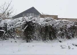 Delightful Villa in Sourbrodt With Swimming Pool, Terrace