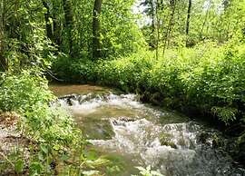 Delightful Villa in Sourbrodt With Swimming Pool, Terrace