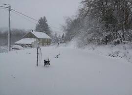 Delightful Villa in Sourbrodt With Swimming Pool, Terrace