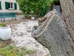 Apartment With Pool Amid Vineyards and Near the Beach