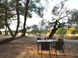 Apartment With Pool Amid Vineyards and Near the Beach