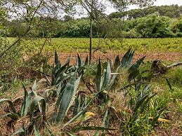 Apartment With Pool Amid Vineyards and Near the Beach