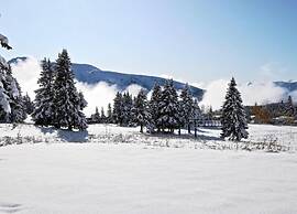Splendid Chalet in Chamrousse With TV