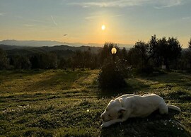 Holiday Home With Beautiful View on the Village
