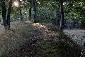 Large, Detached Holiday Home in Willingen With Garden