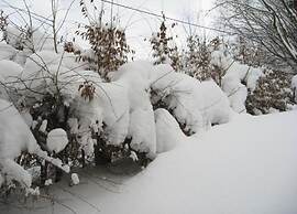 Large, Detached Holiday Home in Willingen With Garden