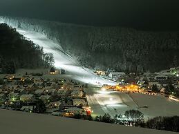 Large, Detached Holiday Home in Willingen With Garden