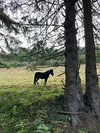 Large, Detached Holiday Home in Willingen With Garden