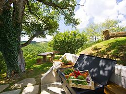 Nice Apartment in Apecchio With Shared Swimming Pool