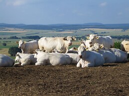 Chic Apartment in Thuringia With Sauna
