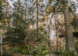 Chic Apartment in Thuringia With Sauna