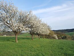 Chic Apartment in Thuringia With Sauna