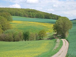 Chic Apartment in Thuringia With Sauna