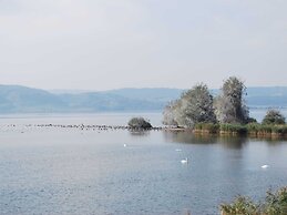 Chic Apartment in Thuringia With Sauna