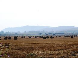 Chic Apartment in Thuringia With Sauna