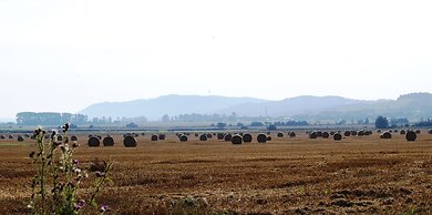 Chic Apartment in Thuringia With Sauna