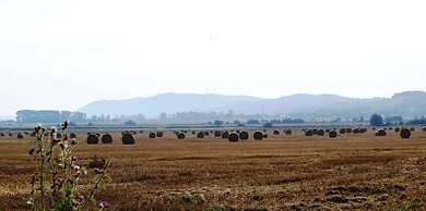 Chic Apartment in Thuringia With Sauna