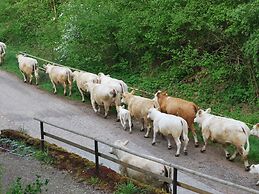 Chic Apartment in Thuringia With Sauna