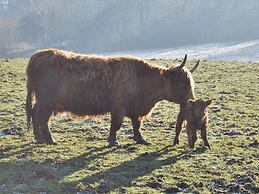 Chic Apartment in Thuringia With Sauna