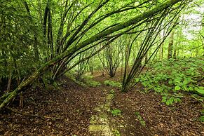 Gorgeous Apartment in Bohon With Garden Furniture and BBQ