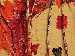 Cozy Apartment in Bergen on Dutch Coast