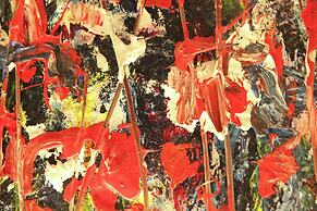 Cozy Apartment in Bergen on Dutch Coast