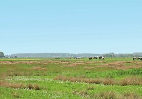 Cozy Apartment in Bergen on Dutch Coast