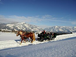 Wonderful Apartment in Hopfgarten im Brixental With Parking