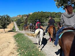 Simplistic Holiday Home in Pistoia With Terrace & Garden