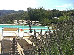 Spacious Farmhouse in Apecchio With Pool