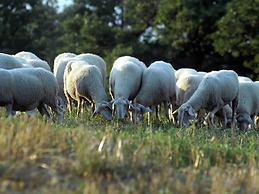 Spacious Farmhouse in Apecchio With Pool