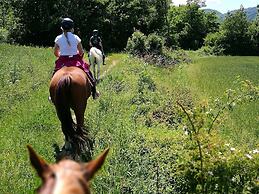 Farmhouse With Stables, Horses and the Ability to Make Horseback Ridin