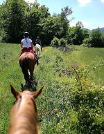 Farmhouse With Stables, Horses and the Ability to Make Horseback Ridin