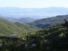 Farmhouse With Stables, Horses and the Ability to Make Horseback Ridin