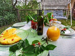 Farmhouse With Stables, Horses and the Ability to Make Horseback Ridin