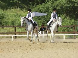 Farmhouse With Stables, Horses and the Ability to Make Horseback Ridin