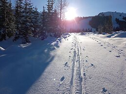 High-quality Holiday Apartment in Oberkrimml Near Waterfalls