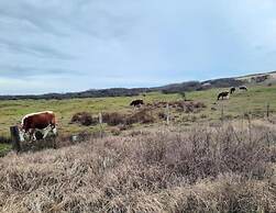 Cozy Chalet in Vrouwenpolder With Garden