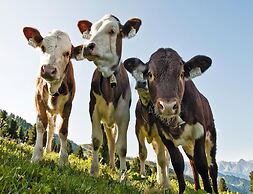 Holiday Flats Barlerhof, Konigsleiten