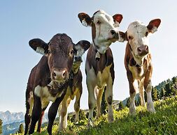 Holiday Flats Barlerhof, Konigsleiten