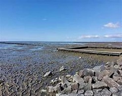 Apartment in Friedrichskoog-spitze With Parking Space