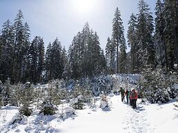 Apartment in Bramberg am Wildkogel With Balcony
