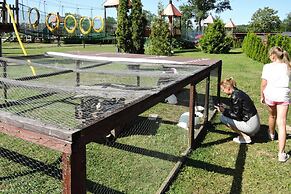 Bungalows in Wrzosowo - The Bird's Cage for 4 Persons