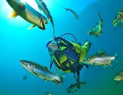 Holiday Village Prabichl, Vordernberg