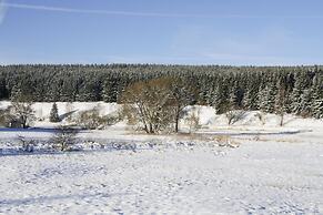 Ferienwohnung Hexenzauber I und II in Braunlage